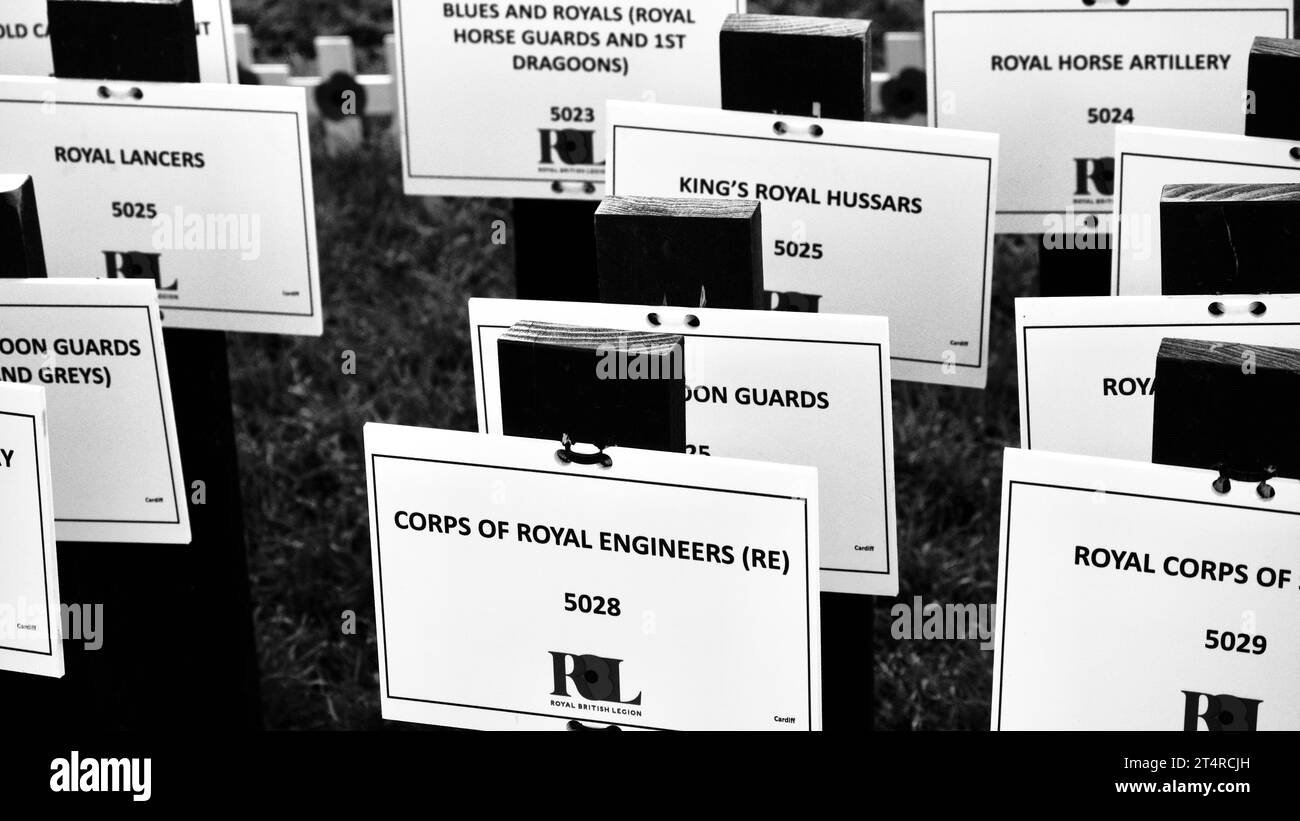 Le champ du souvenir du château de Cardiff marque la perte de vies humaines dans les guerres mondiales et autres conflits. Quelques petites croix avec des coquelicots rouges ont des messages et des photos Banque D'Images