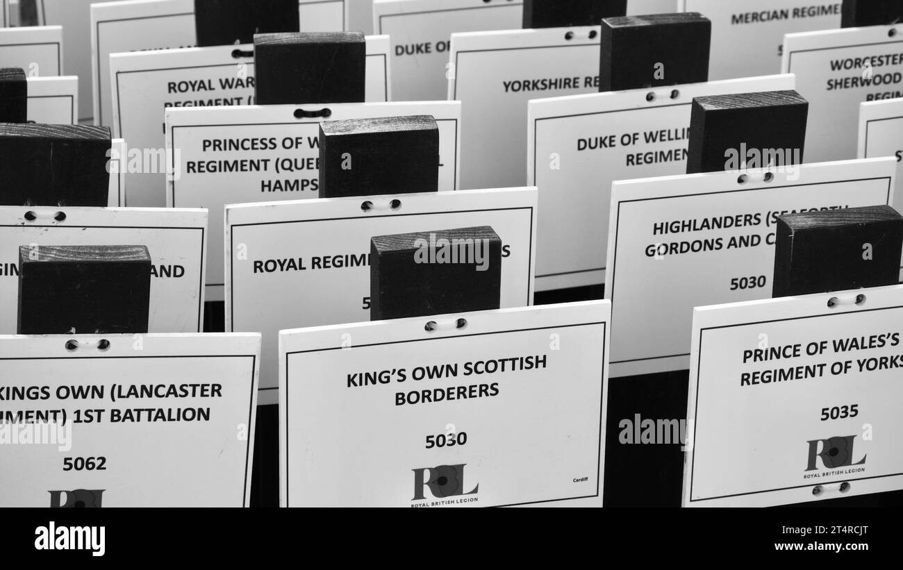 Le champ du souvenir du château de Cardiff marque la perte de vies humaines dans les guerres mondiales et autres conflits. Quelques petites croix avec des coquelicots rouges ont des messages et des photos Banque D'Images