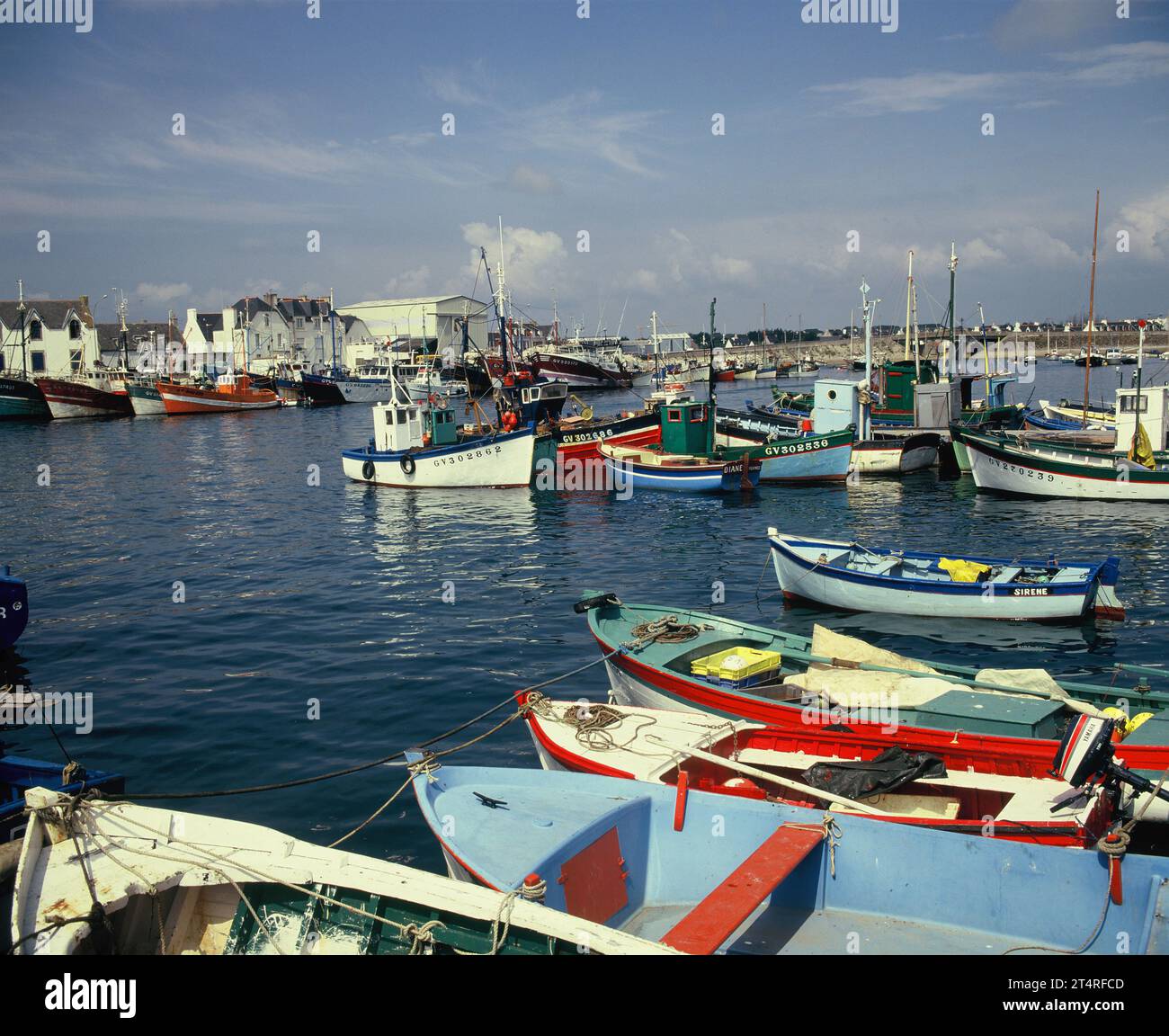 France. Brittany. Le Guilvinec. Bateaux dans le port. Banque D'Images