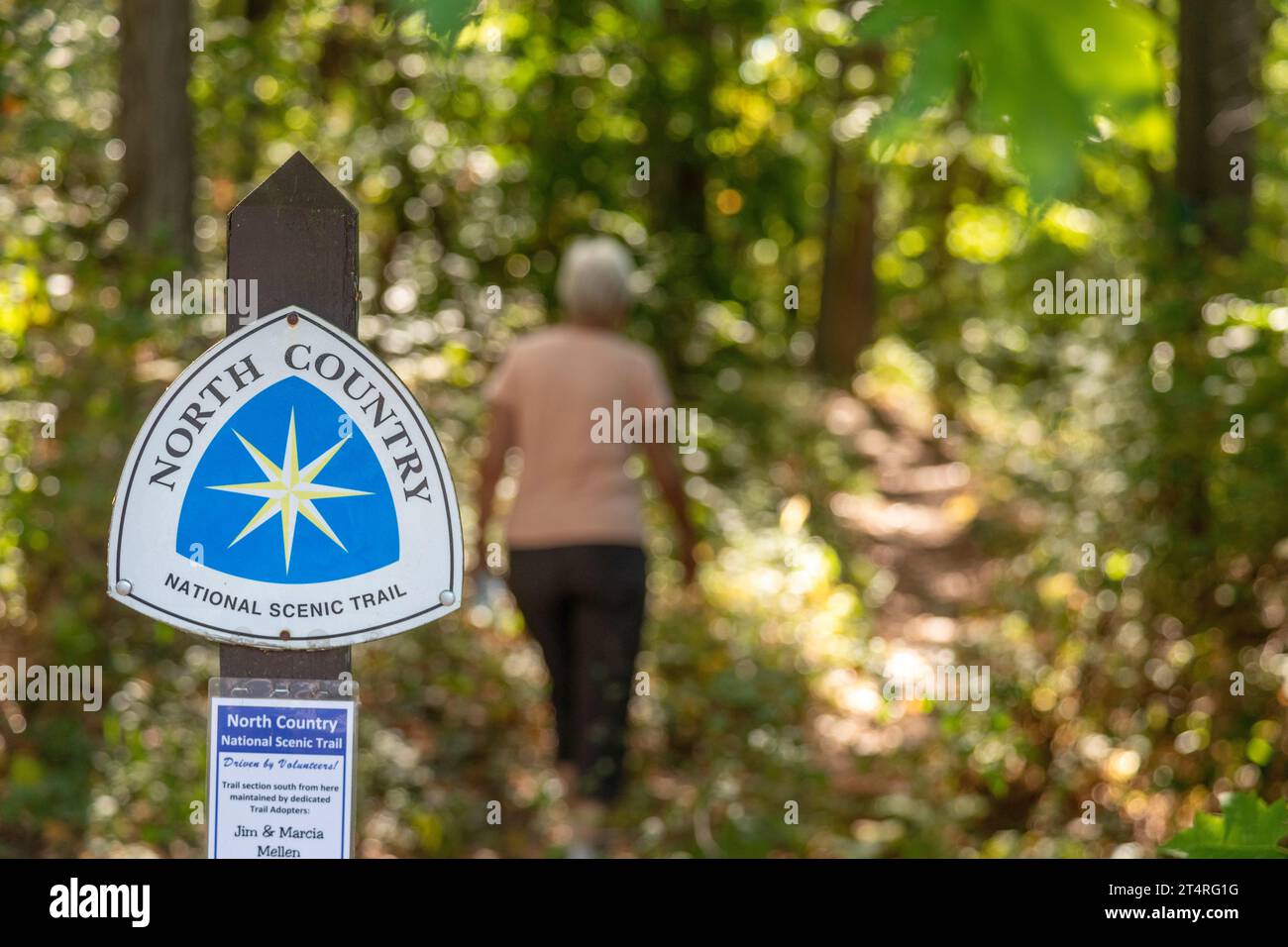 Middleville, Michigan - Un randonneur sur le North Country Trail dans la zone de loisirs de Yankee Springs. Le North Country Trail s'étend sur 4 800 km de Vermo Banque D'Images