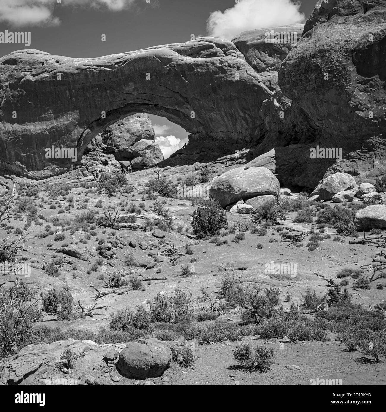 Arches National Park, Utah Banque D'Images
