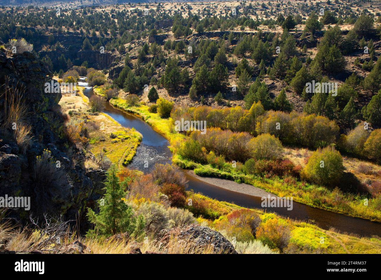 Donner und Blitzen Wild and Scenic River depuis le sentier de la rivière Blitzen, Steens Mountain Cooperative Management and protection Area, Oregon Banque D'Images