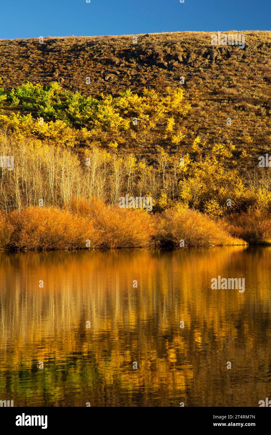 Lac Fish, zone de gestion coopérative et de protection de Steens Mountain, Oregon Banque D'Images