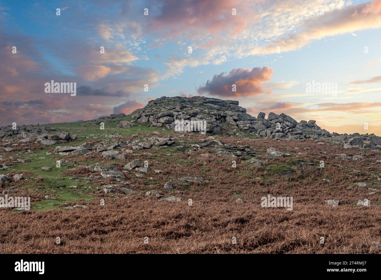 Sheeps Tor, sur Dartmoor Banque D'Images