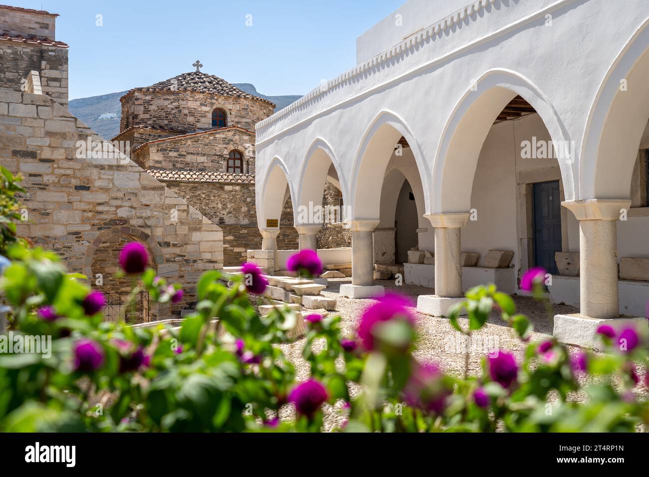 Fleurs dans la cour de Panagia Ekatontapiliani à Paros Banque D'Images