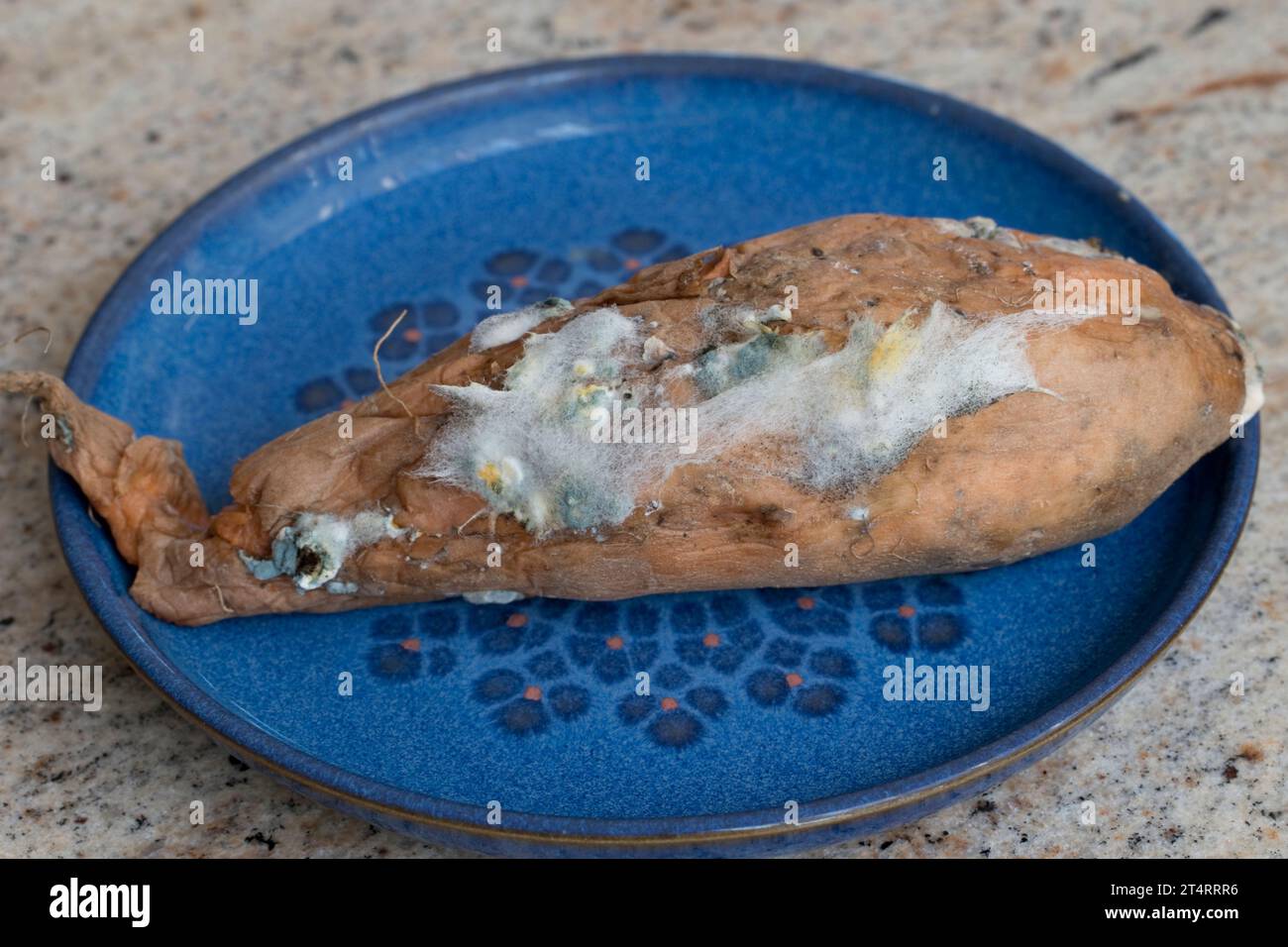 Patates douces moisissures sur assiette bleue UK Banque D'Images