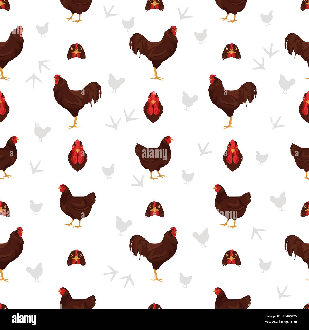 Buckeye Chicken crée un motif sans couture. Volailles et animaux de ferme. Jeu de couleurs différentes. Illustration vectorielle Illustration de Vecteur