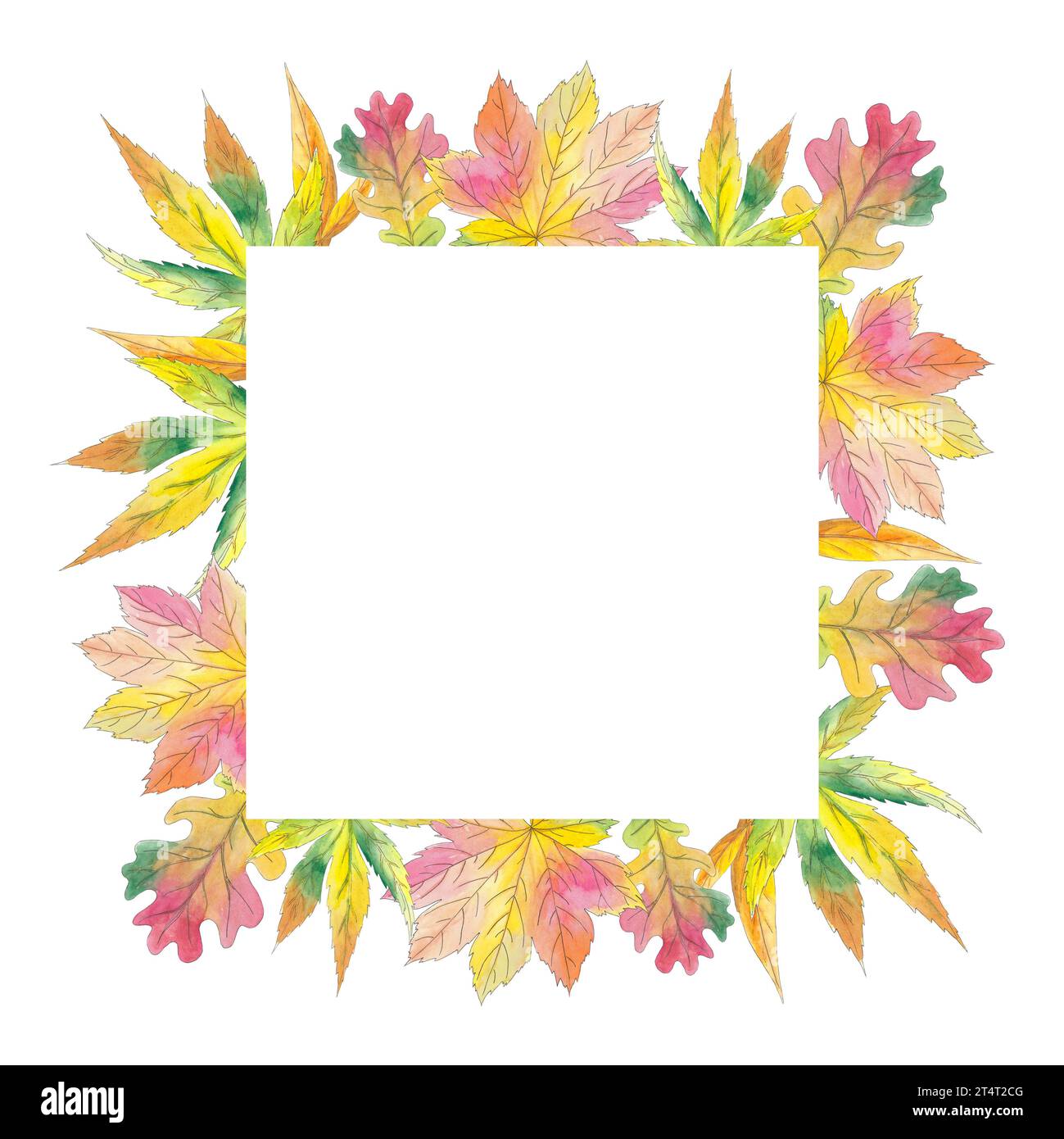 Cadre aquarelle avec érable, saule, feuilles de chêne illustration d'automne sur fond blanc. Belle carte postale botanique colorée. Art pour carte de conception Banque D'Images