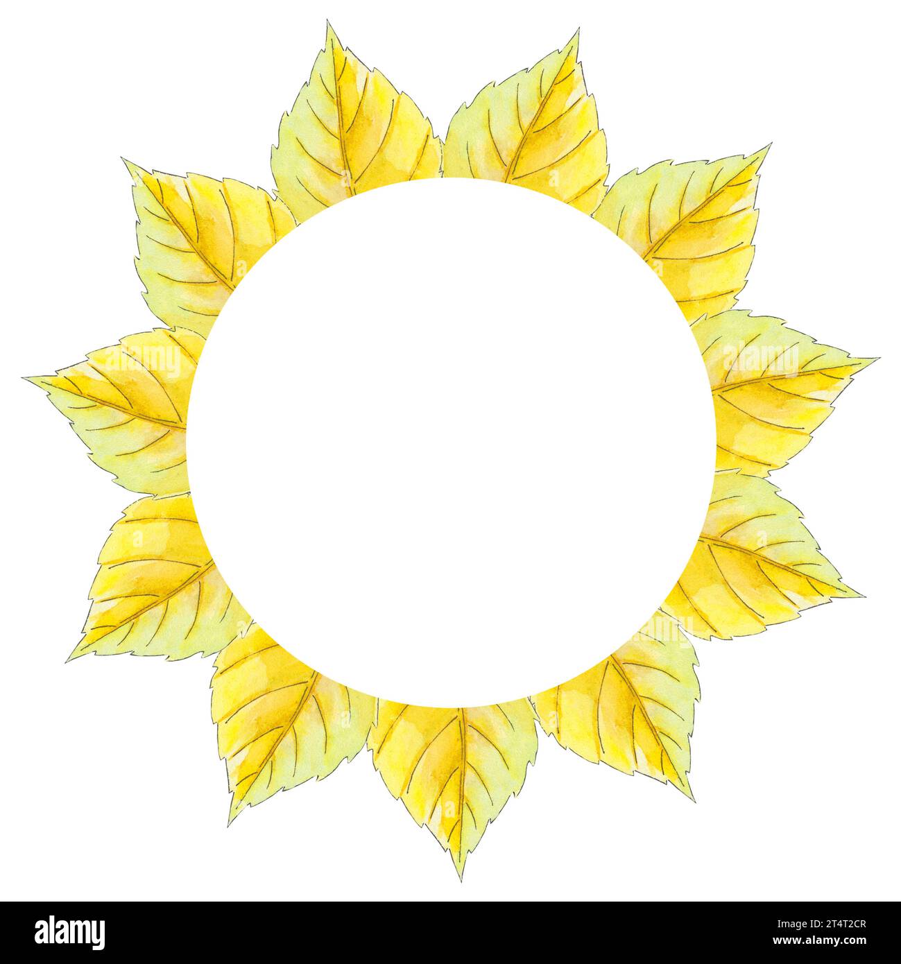 Cadre aquarelle avec tremble, feuilles de bouleau illustration d'automne sur fond blanc. Belle carte postale botanique colorée. Art pour carte de conception, logo Banque D'Images