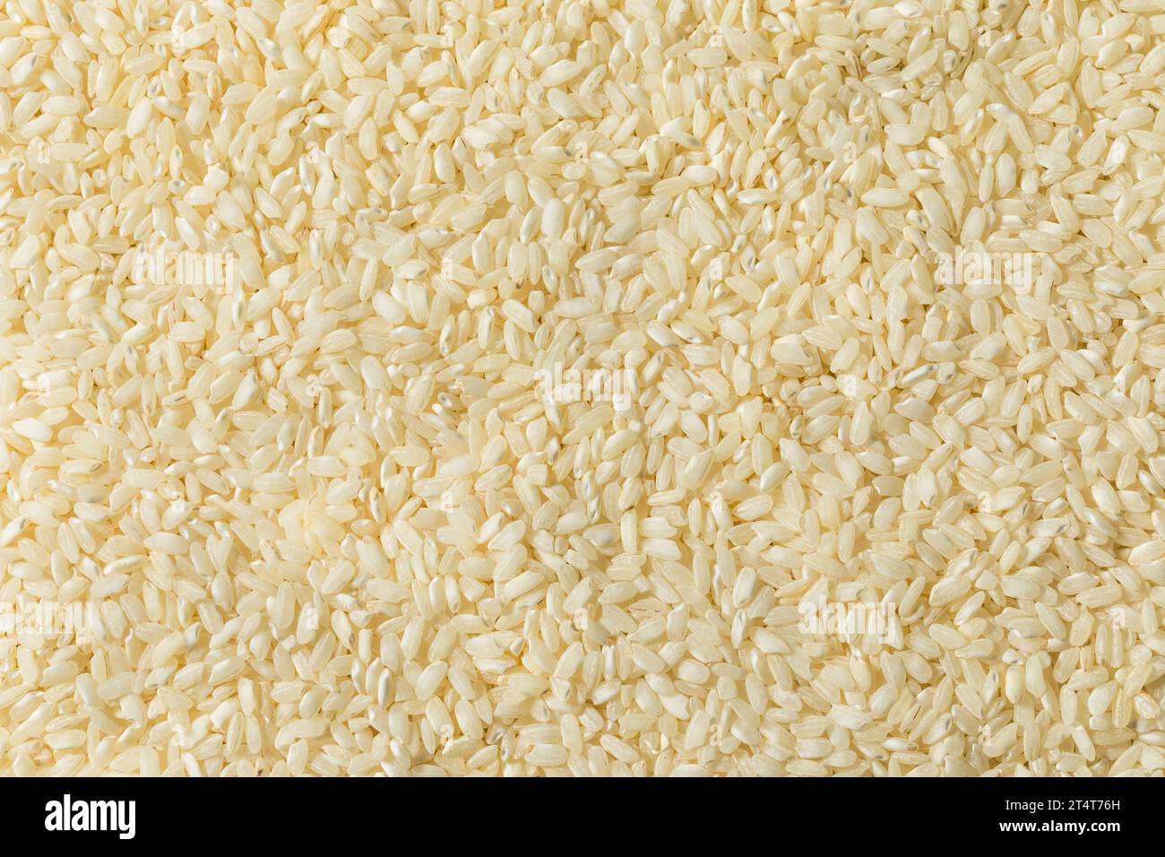 Riz Arborio blanc sec cru dans un bol Banque D'Images