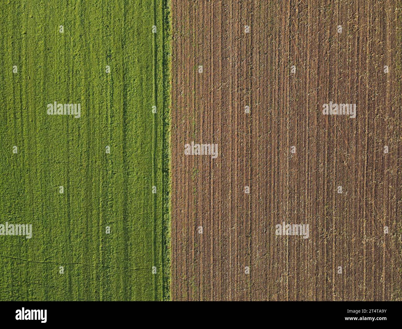 Vue aérienne d'un champ de campagne brun avec de la terre et d'un champ de campagne vert avec de l'herbe Banque D'Images