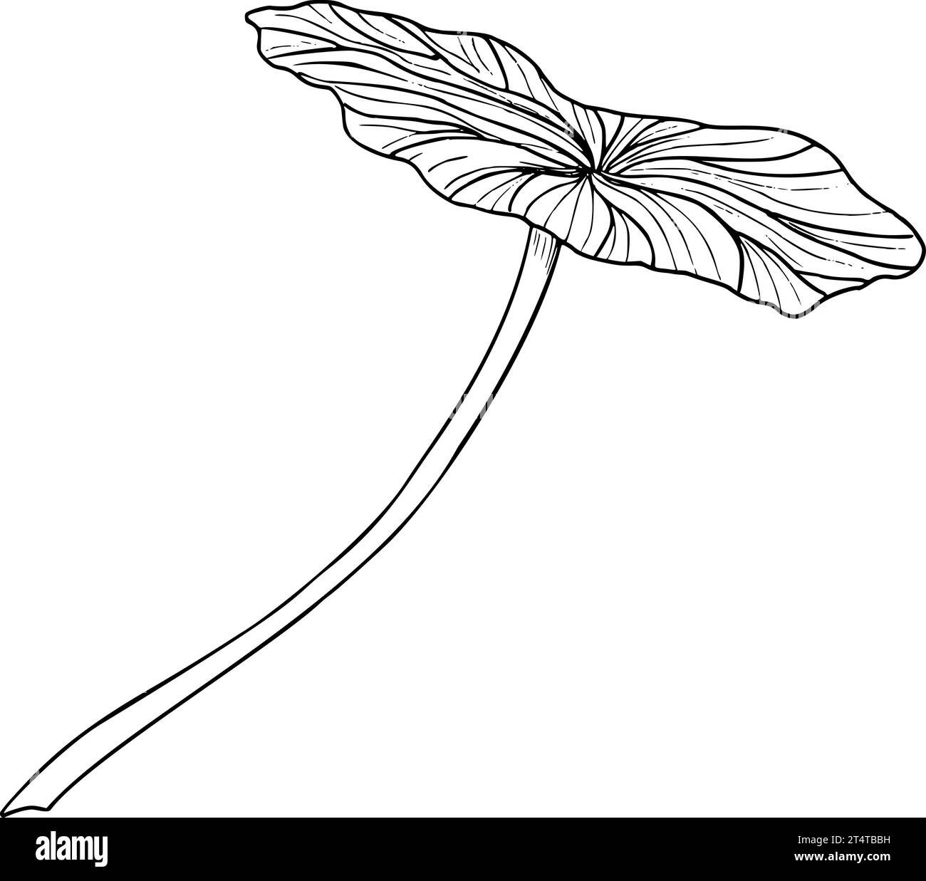 Lotus Leaf. Illustration vectorielle dessinée à la main de la plante. Dessin de verdure de nénuphars d'eau pour icône ou logo dans le style d'art de ligne. Croquis de flore exotique pour spa Illustration de Vecteur