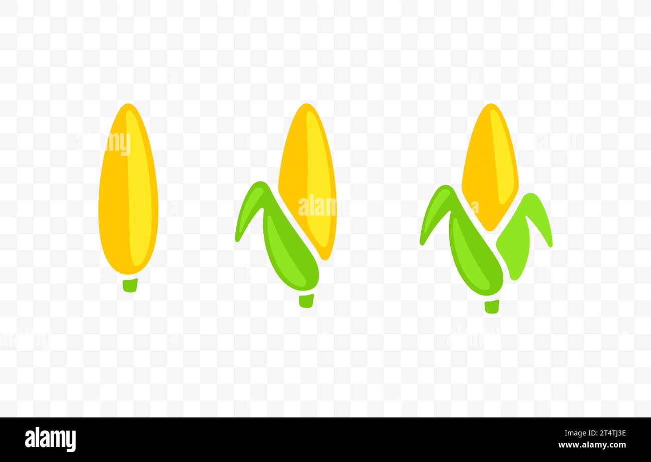 Épi de maïs, maïs, épi de maïs, maïs, nourriture et semoule, conception graphique. COB, maïs doux, plante, légume, agriculture et agriculture, conception vectorielle Illustration de Vecteur