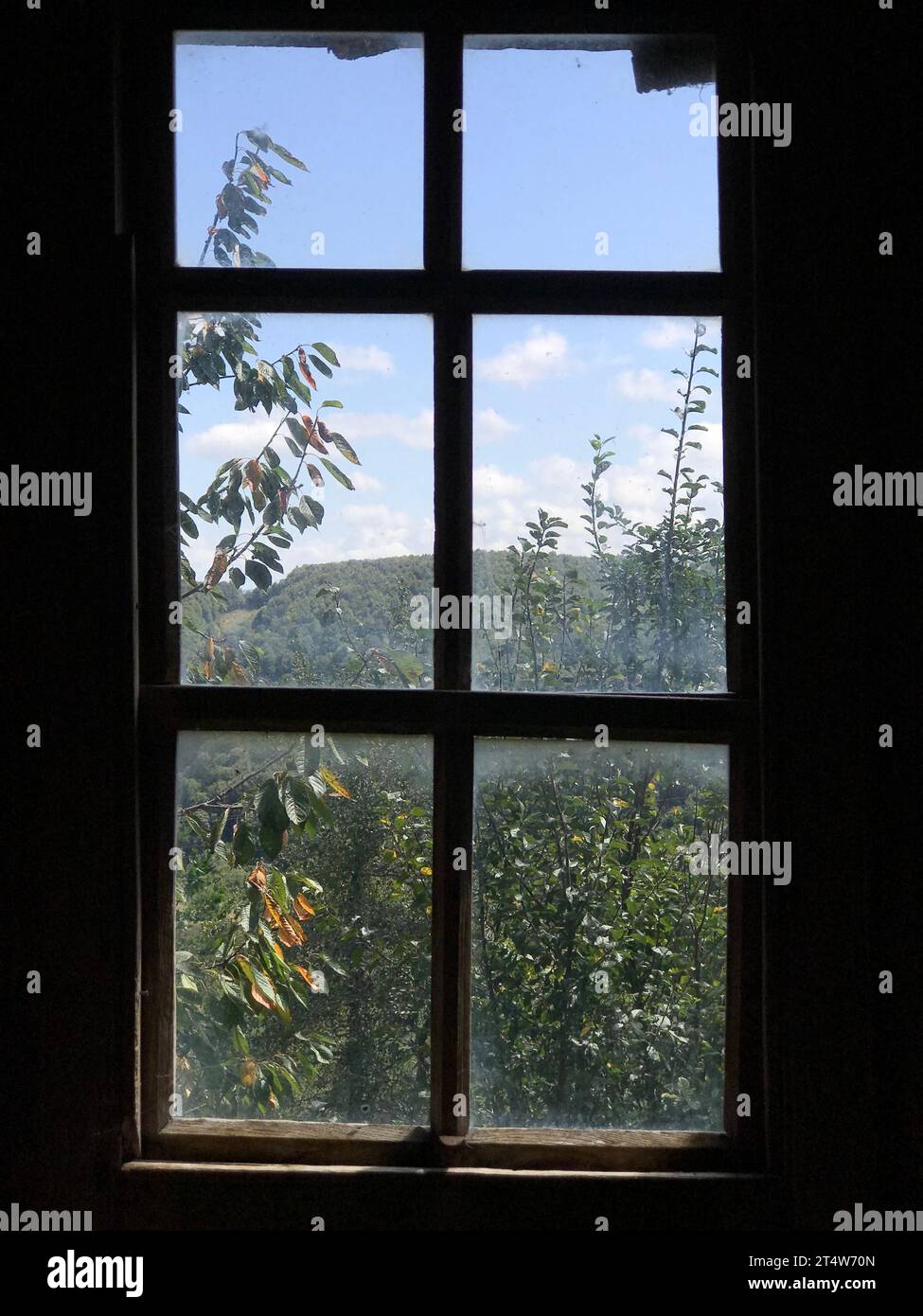 Une fenêtre offrant une vue panoramique sur la forêt à l'extérieur Banque D'Images