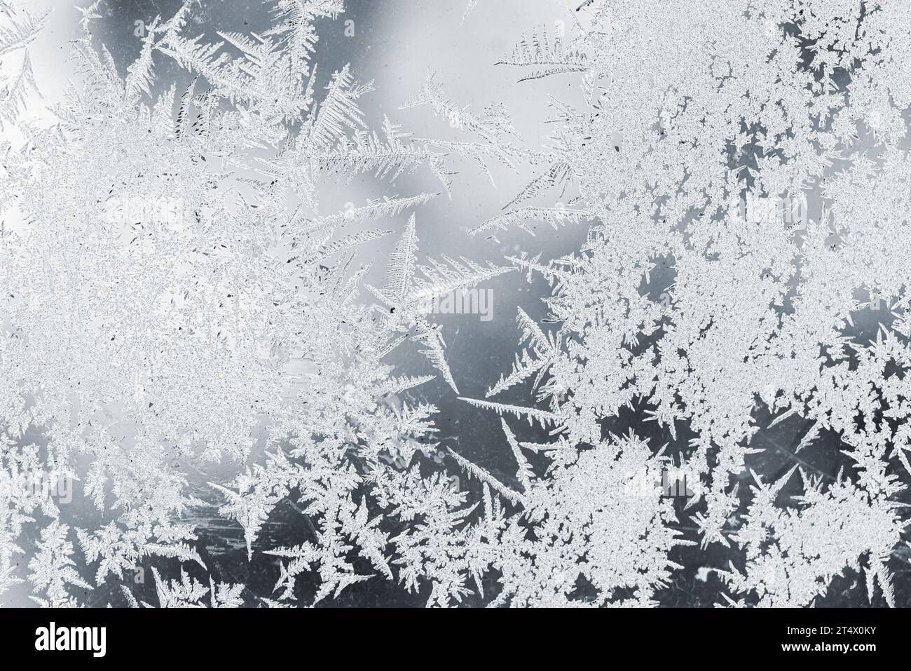 Beau motif d'un givre sur une vitre, photo macro, fond naturel d'hiver Banque D'Images