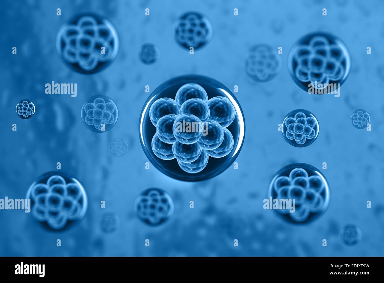 Division des cellules humaines avec formation scientifique. rendu 3d. Banque D'Images