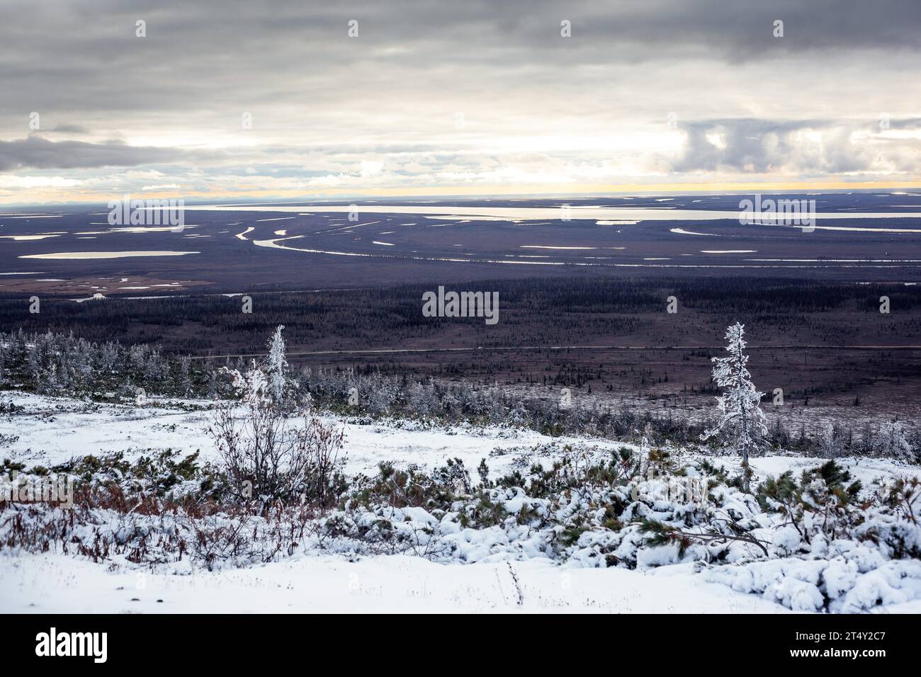 Toundra, première chute de neige, Chersky, Yakoutie, Russie Banque D'Images