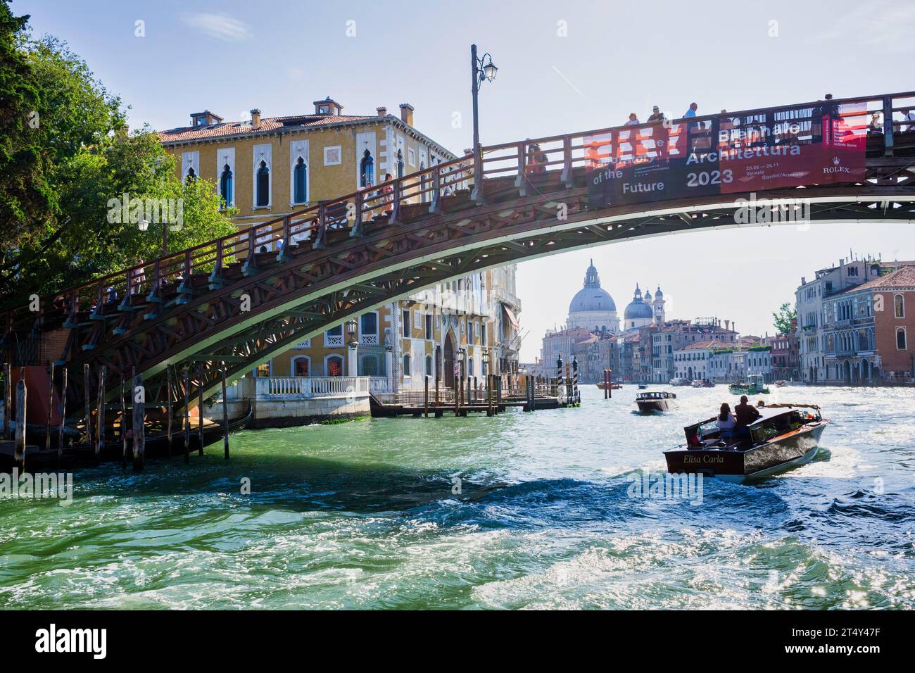 Ponte dell'Accademia, Venise, Italie Banque D'Images