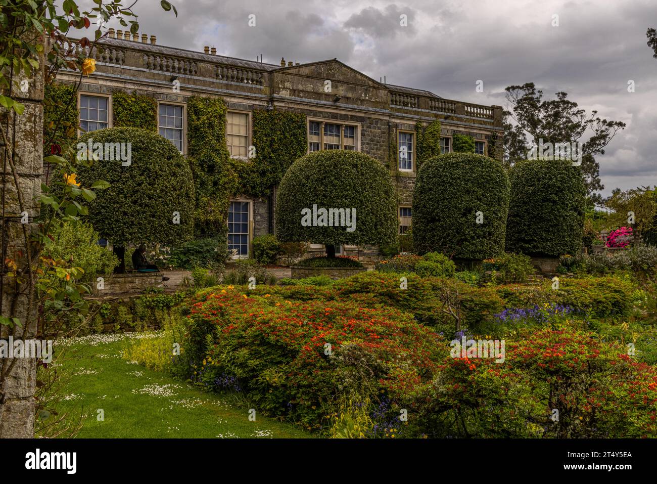 Mount Steward Banque D'Images