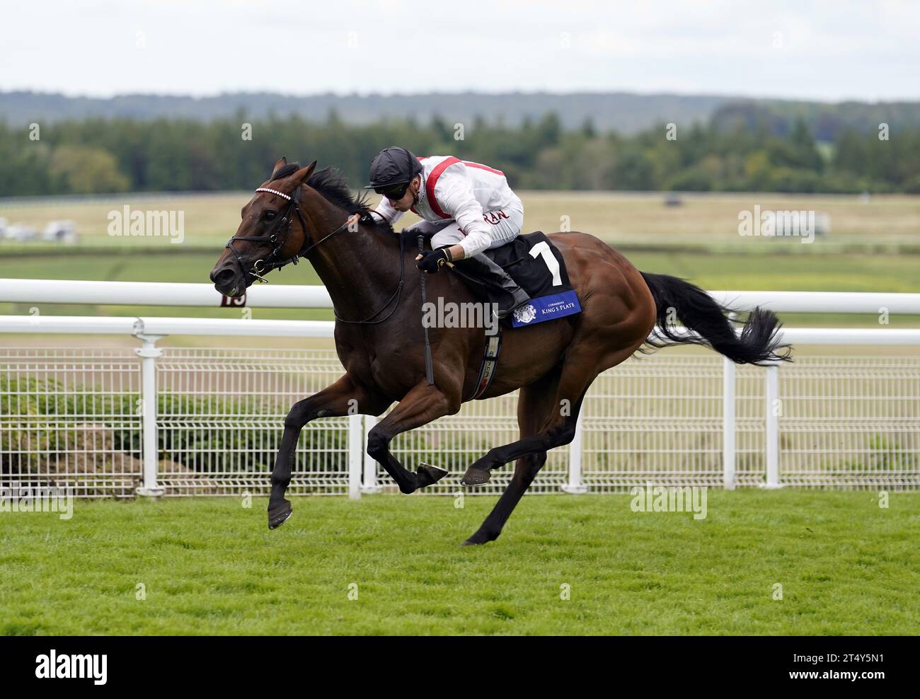 Photo de dossier datée du 04-08-2023 de Hamish, qui tentera de terminer avec succès une saison 2023 invaincue lorsqu’il s’aligne dans les Betfred St Simon Stakes réarrangés à Newmarket vendredi. Date de parution : jeudi 2 novembre 2023. Banque D'Images