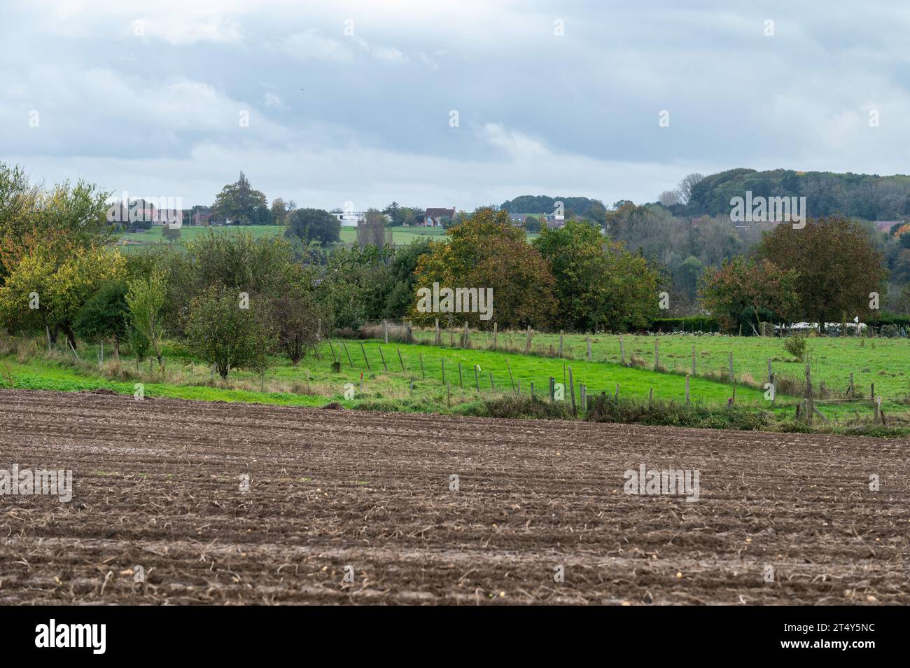 Vue du paysage sur les champs agricoles récoltés de maïs dans la campagne flamande autour de Roosdaal, Brabant, Belgique Banque D'Images
