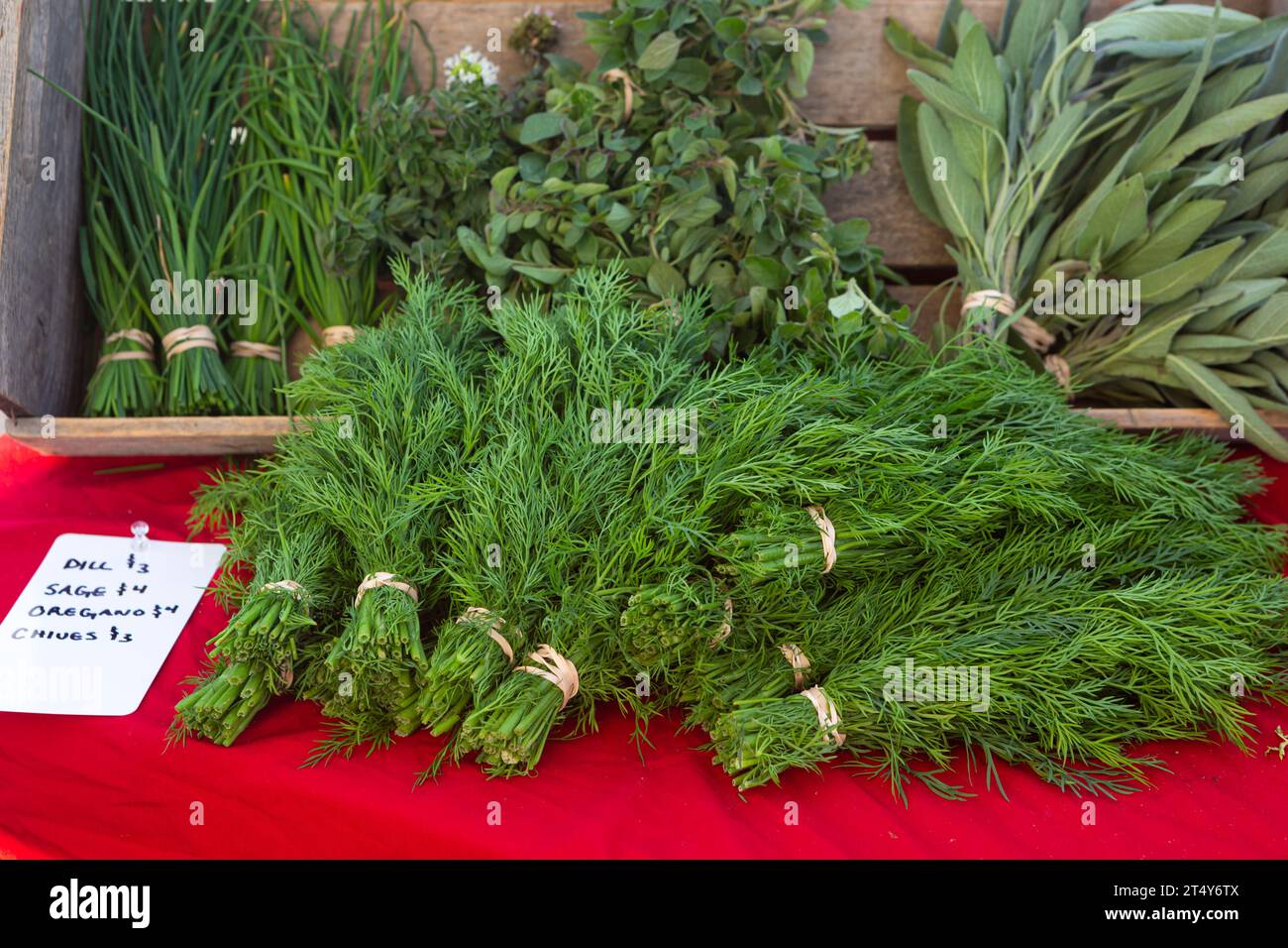 Herbes culinaires fraîches : aneth, sauge, ciboulette, origan Banque D'Images