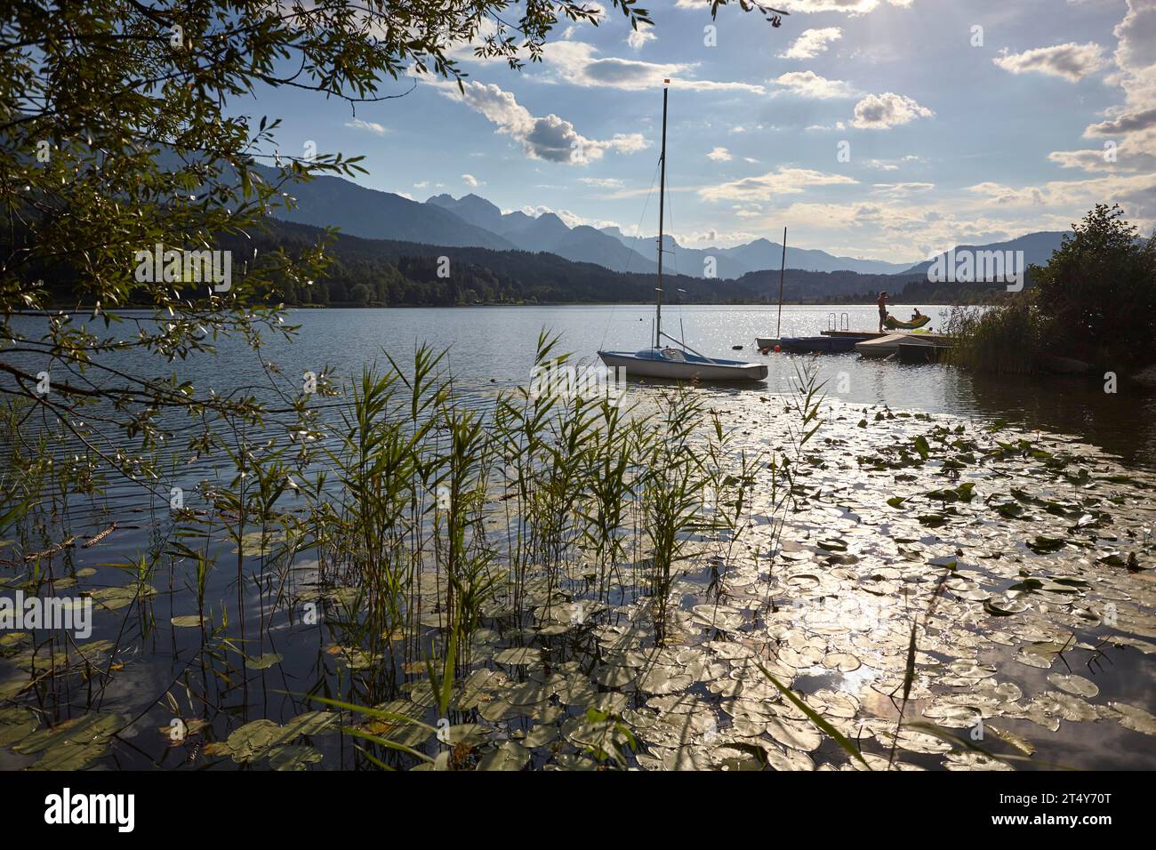 Pressegger See, Hermagor, Gailtal, Carinthie, Autriche Banque D'Images