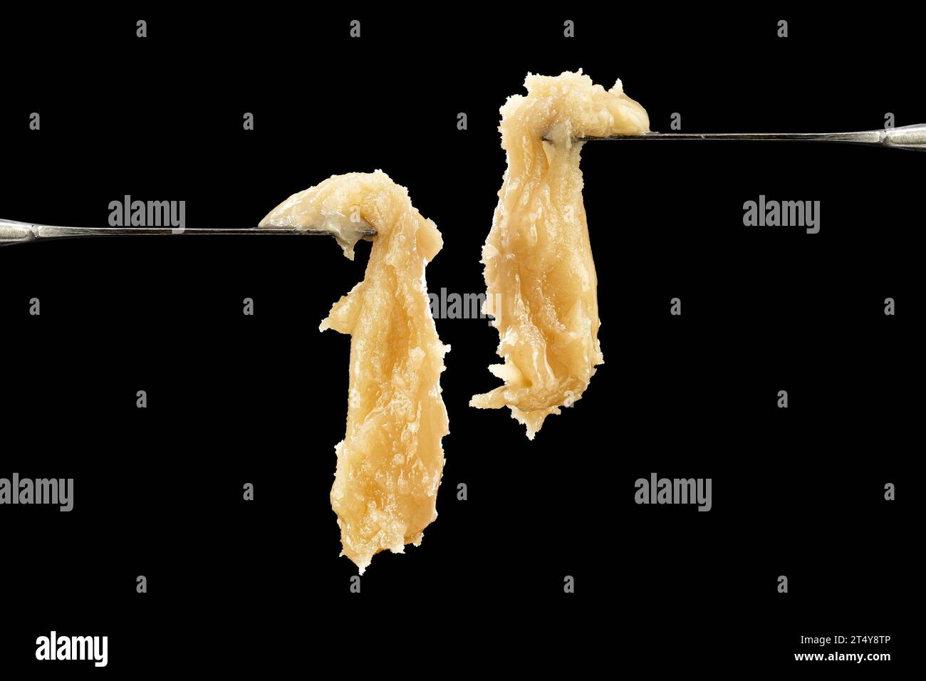 Candy Fumes Strain - Hash Rosin Drip sur fond noir Banque D'Images