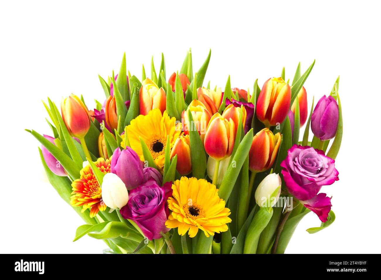 Bouquet de fleurs colorées sur fond blanc Banque D'Images