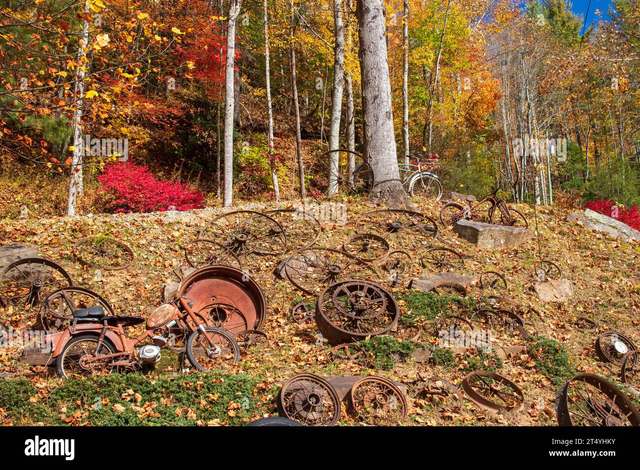 Vieux vélos et couleurs d'automne dans les Blue Ridge Mountains Banque D'Images