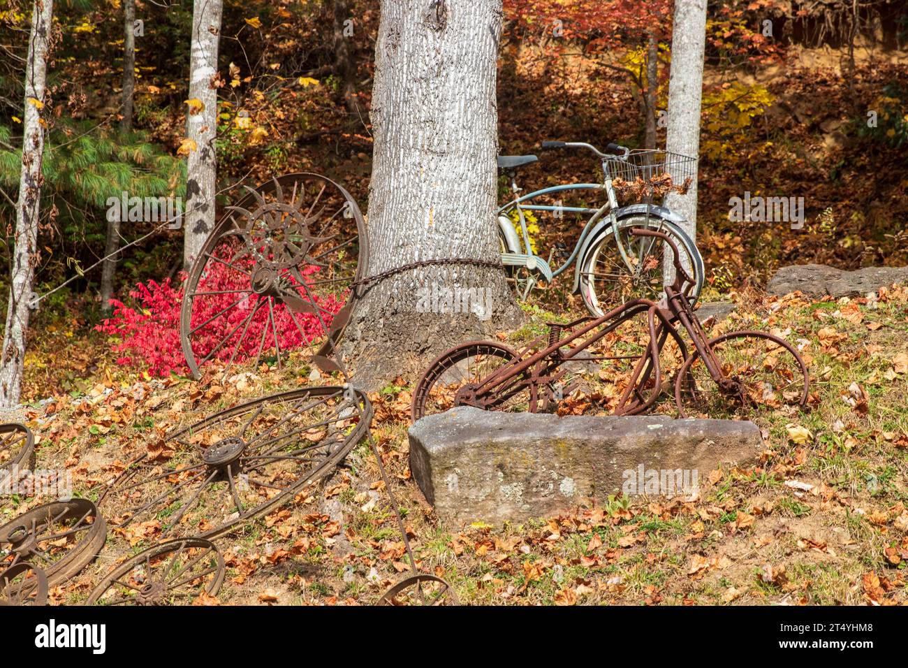 Vieux vélos et couleurs d'automne dans les Blue Ridge Mountains Banque D'Images
