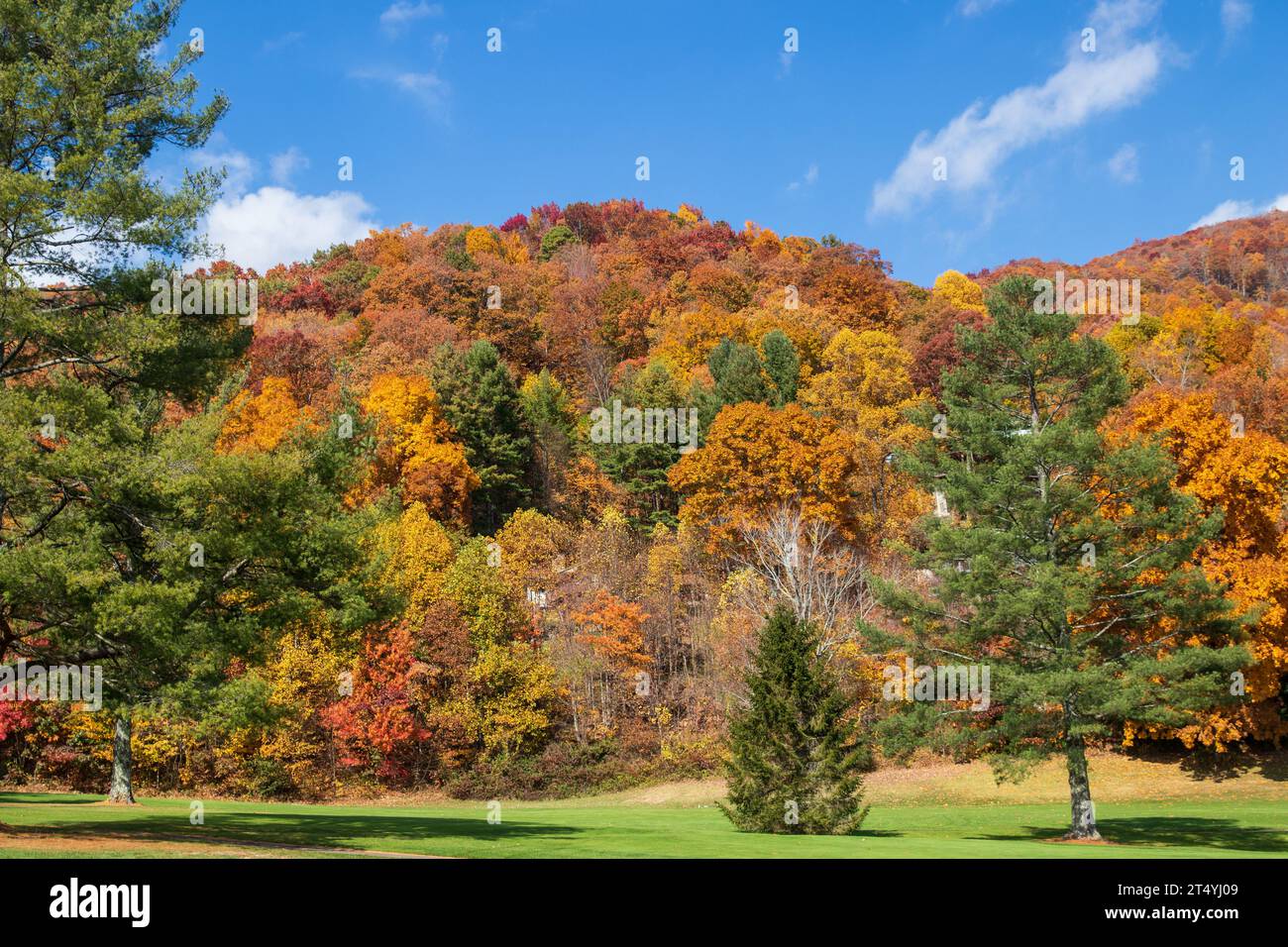 Couleurs de l'automne dans les montagnes Blue Ridge Banque D'Images
