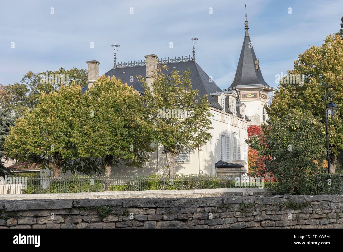 Château dans la région Bourgogne de France dans quelques arbres Banque D'Images