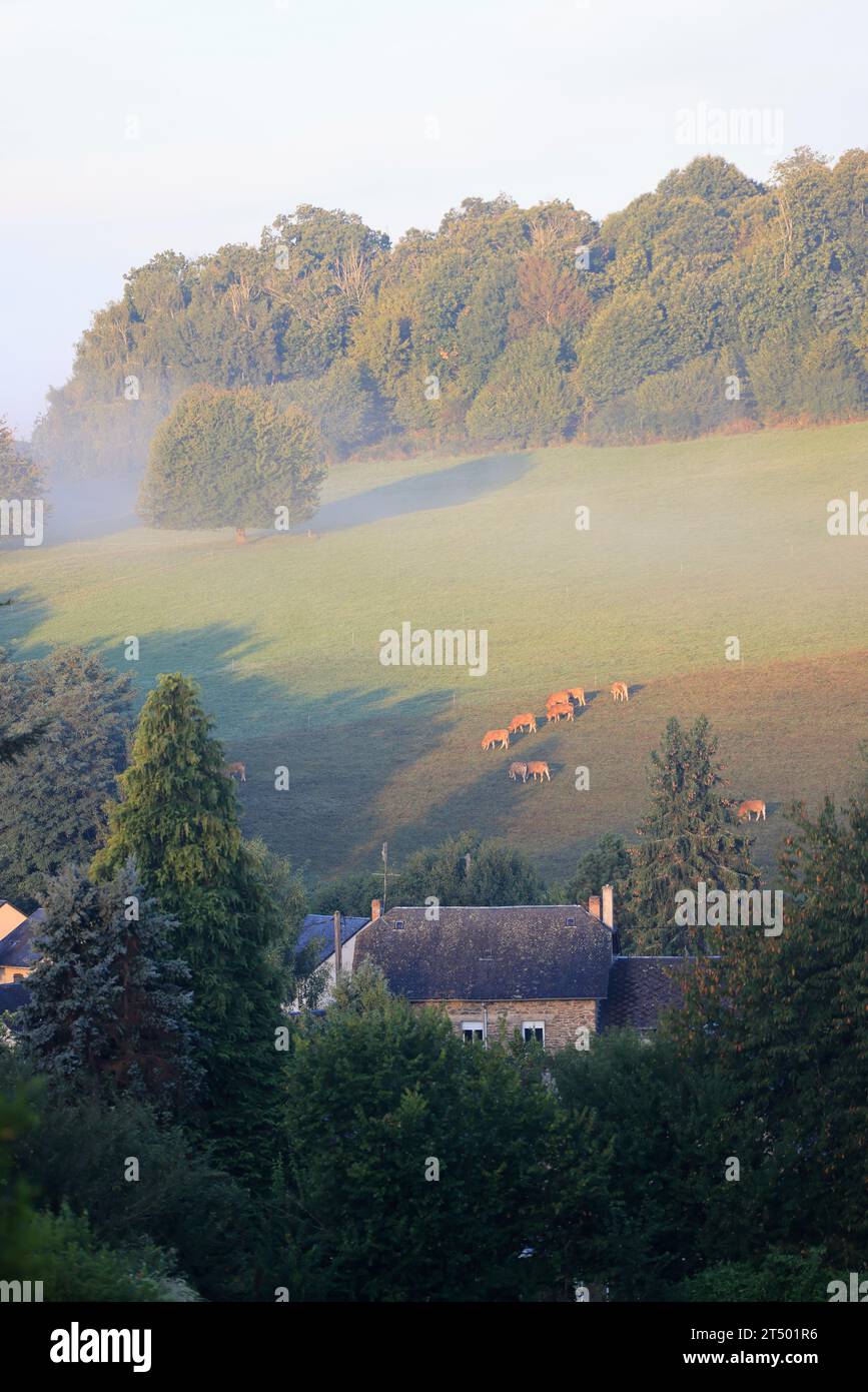 Lever de soleil et brouillard dans la campagne Limousin. Ruralité, paysage, agriculture et tourisme. Limousin, France, Europe. Banque D'Images