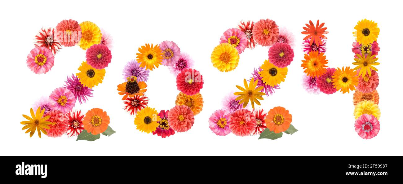 Inscription 2024 de différentes fleurs isolées sur fond blanc. Bonne année. Banque D'Images