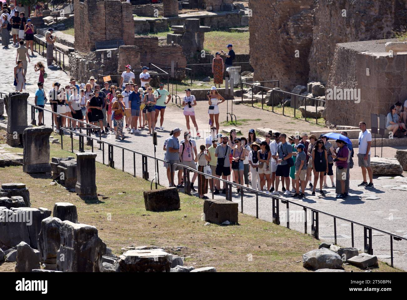 Touristes, Forum romain, Rome, Italie Banque D'Images