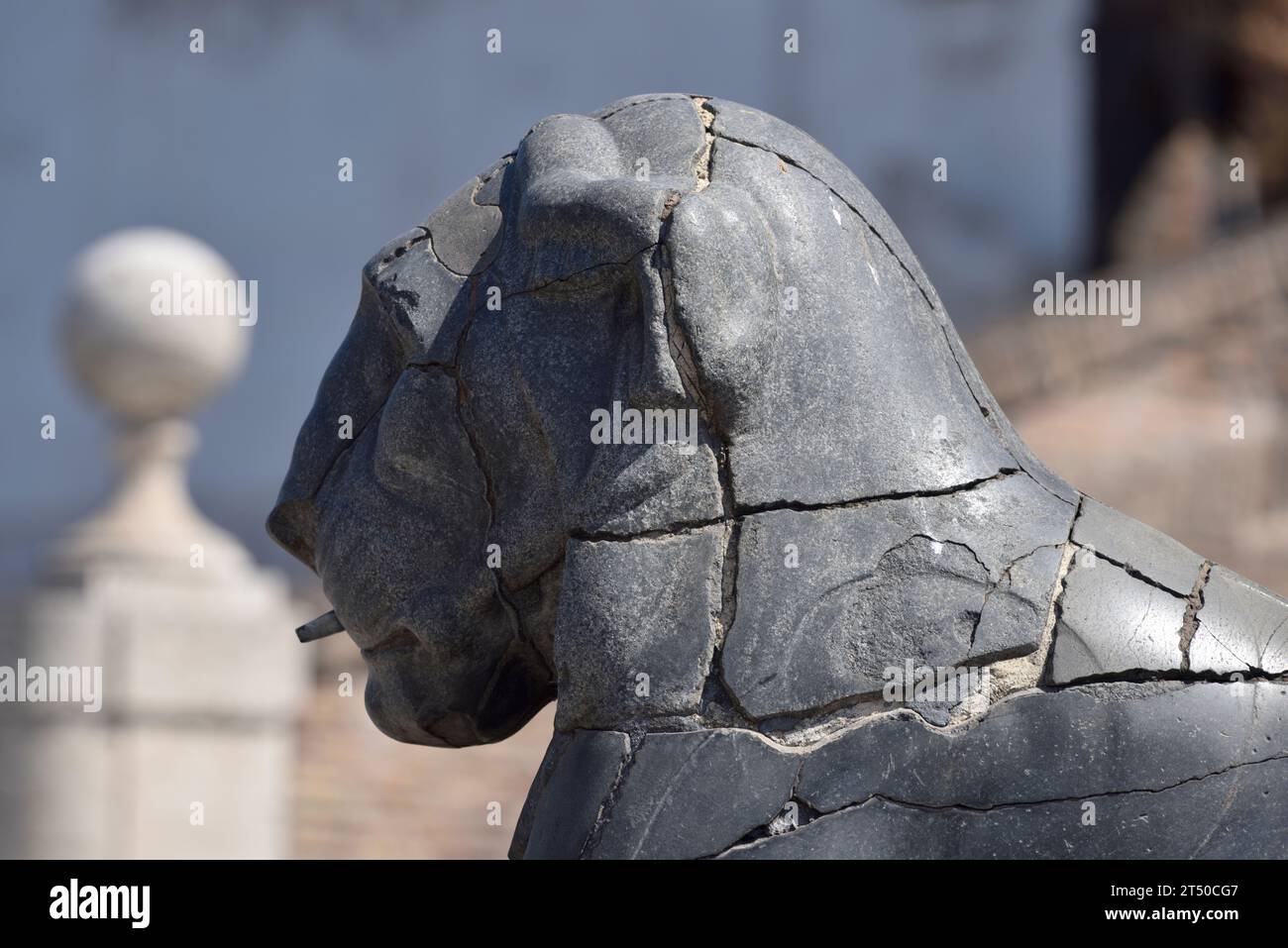 Italie, Rome, Capitole, lion égyptien Banque D'Images