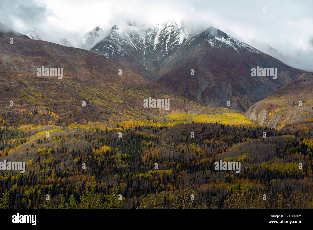 Paysage montagneux vues d'automne le long de la route de l'Alaska dans le parc national et réserve Kluane, Yukon, Canada. Banque D'Images