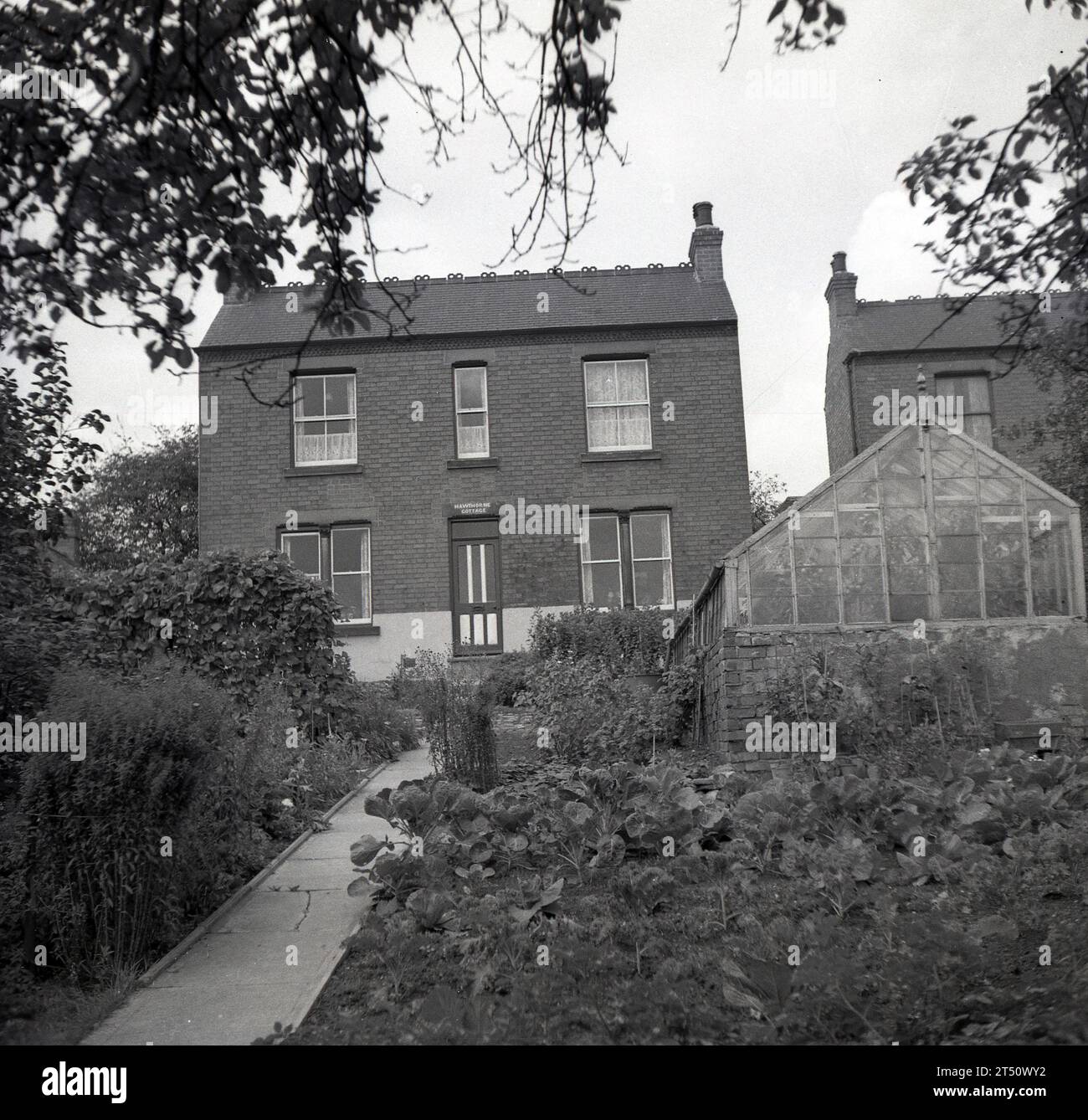 1950a, historique, vue d'une maison victorienne indépendante à façade plate construite en briques, sur une crête, serre dans le jardin, Oldham, Angleterre, ROYAUME-UNI. Nom sur porte, Hawthorne Cottage. Banque D'Images