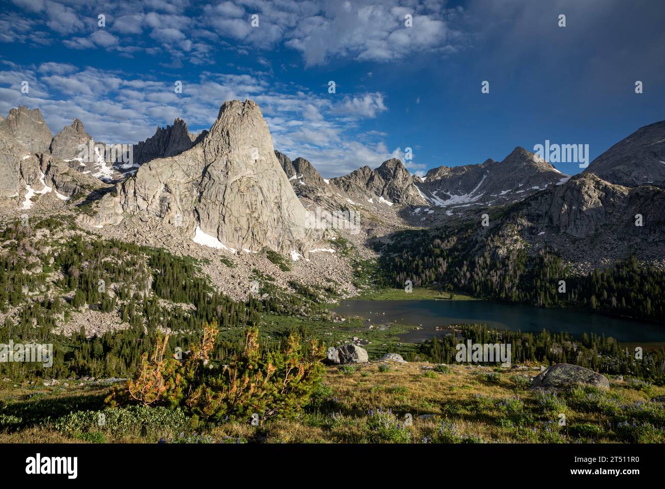 WY05595-00...WYOMING - Pingora Peak dans le Cirque des tours et Lonesome Lake dans la région sauvage Popo Agie de la chaîne Wind River. Banque D'Images