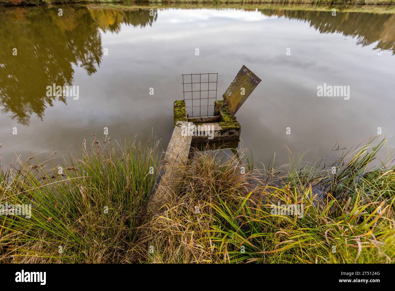 Étang de carpes dans le Haut-Palatinat. L'étang a un drain à son point le plus profond. Les étangs peuvent être vidés via le soi-disant moine. Tirschenreuth, Allemagne Banque D'Images