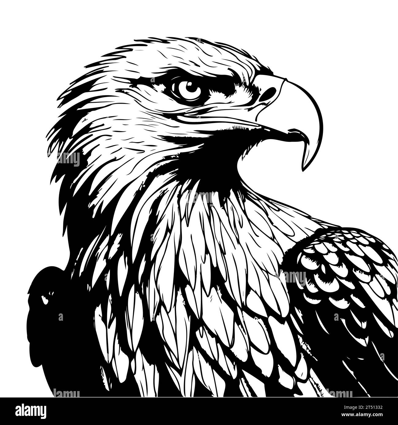 Esquisse à la main Eagle Head. Illustration vectorielle Illustration de Vecteur