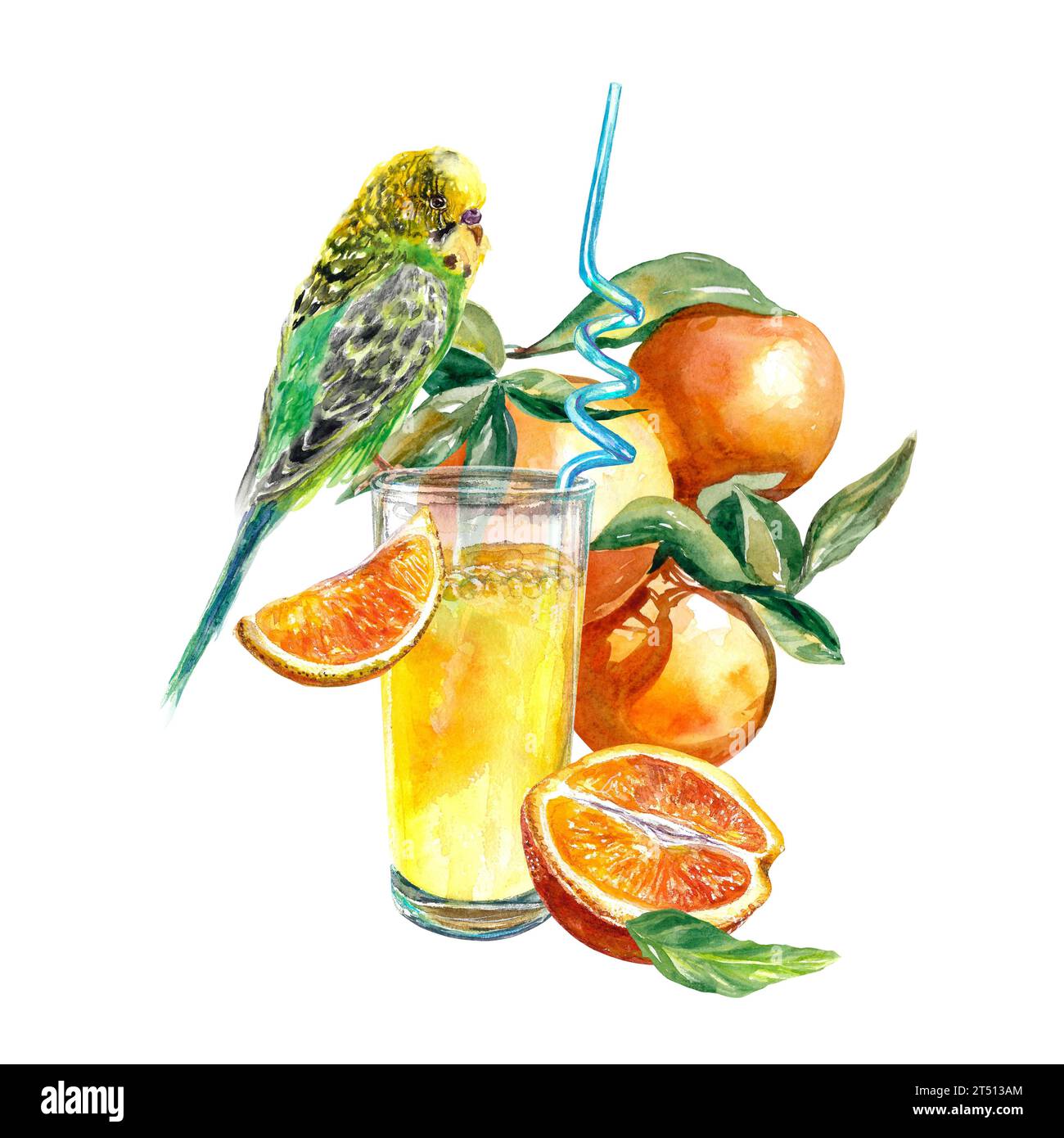 Un verre de jus d'orange avec un perroquet, des tranches d'orange. Illustration aquarelle isolée sur fond blanc. Menu café, étiquettes de jus, emballage alimentaire. Banque D'Images