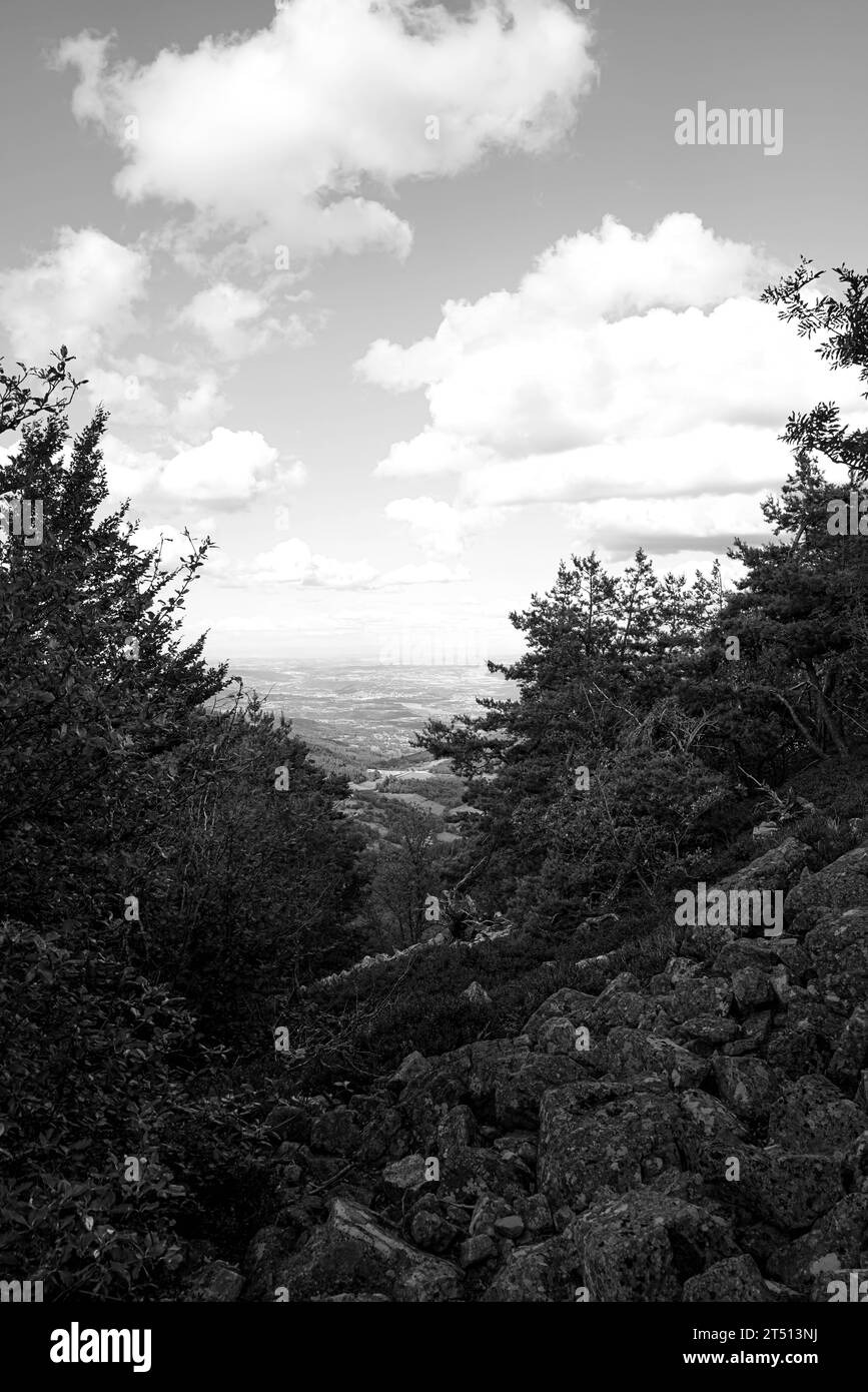 Paysage noir et blanc, campagne française Banque D'Images