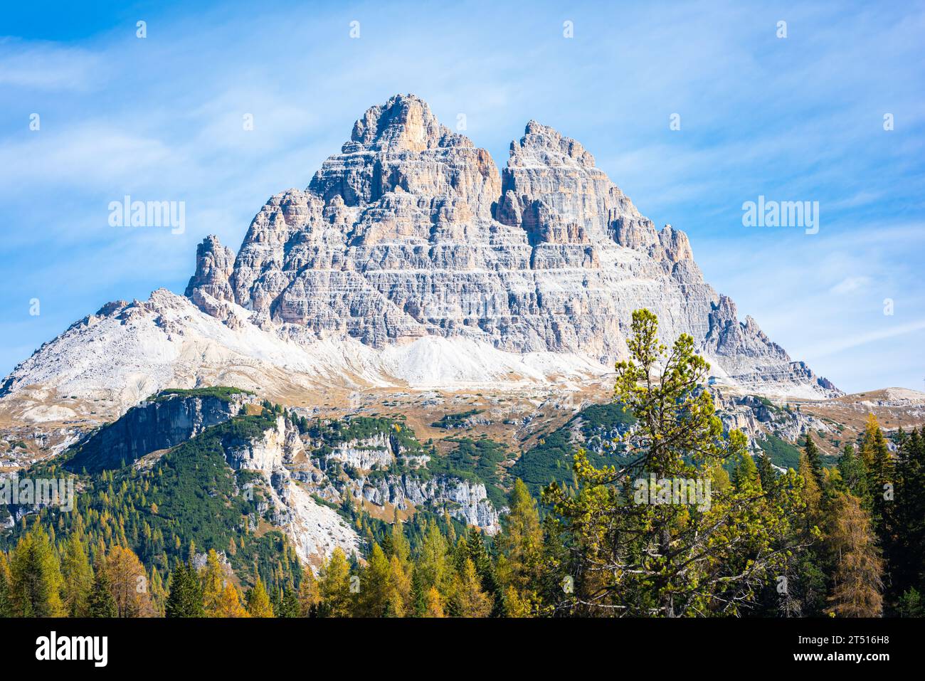 Tre cime di Lavaredo avec des mélèzes aux couleurs d'automne Banque D'Images