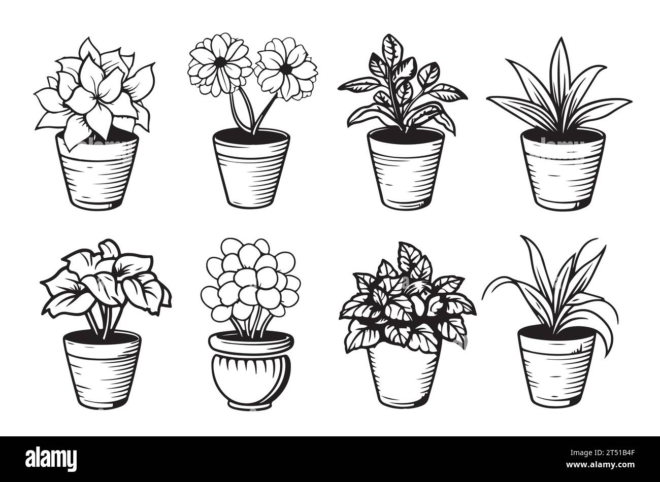 Ensemble vectoriel de plantes d'intérieur et de fleurs en pots, dessins de contour sur un fond blanc Illustration de Vecteur