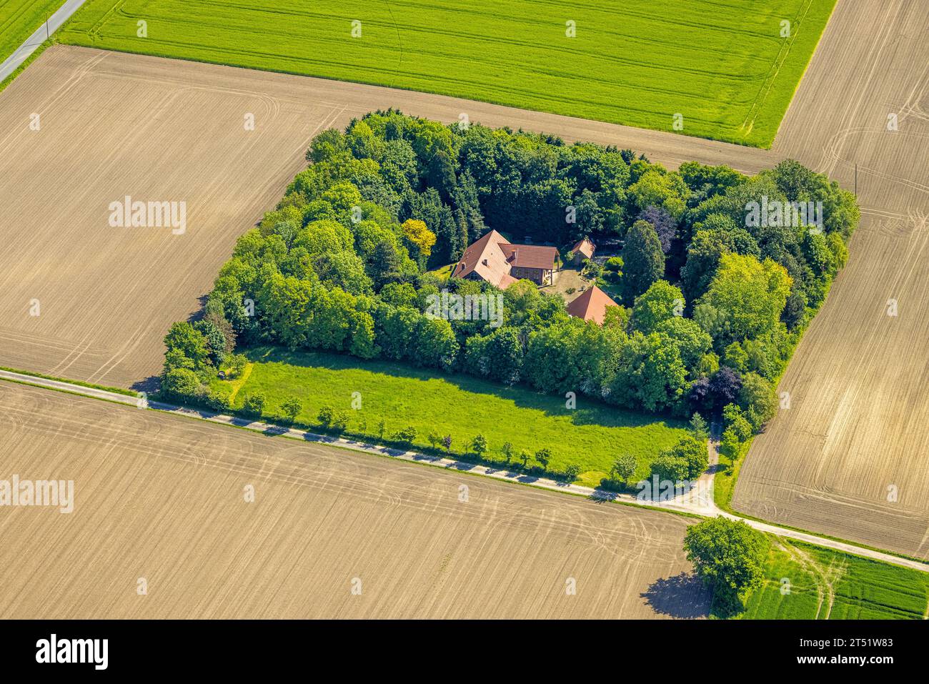 Vue aérienne, maison entourée de haie verte, Grüteringsfeld, Kirchhellen-Nord-Ouest, Bottrop, région de la Ruhr, Rhénanie du Nord-Westphalie, Allemagne, DE, Europe, Banque D'Images