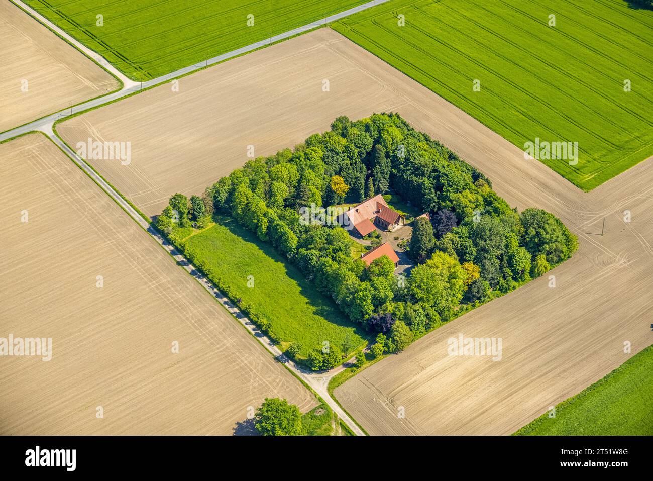 Vue aérienne, maison entourée de haie verte, Grüteringsfeld, Kirchhellen-Nord-Ouest, Bottrop, région de la Ruhr, Rhénanie du Nord-Westphalie, Allemagne, DE, Europe, Banque D'Images