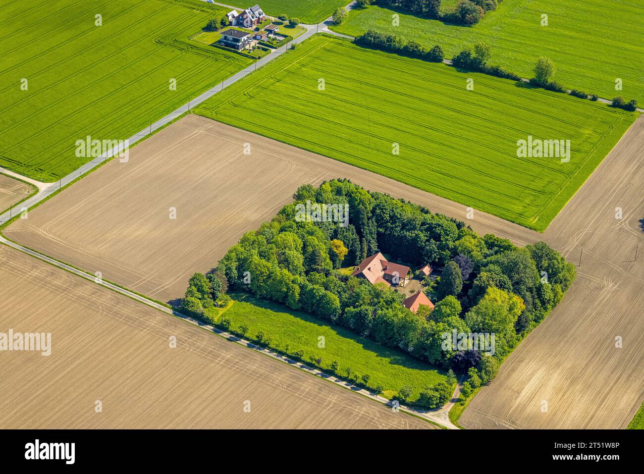 Vue aérienne, maison entourée de haie verte, Grüteringsfeld, Kirchhellen-Nord-Ouest, Bottrop, région de la Ruhr, Rhénanie du Nord-Westphalie, Allemagne, DE, Europe, Banque D'Images