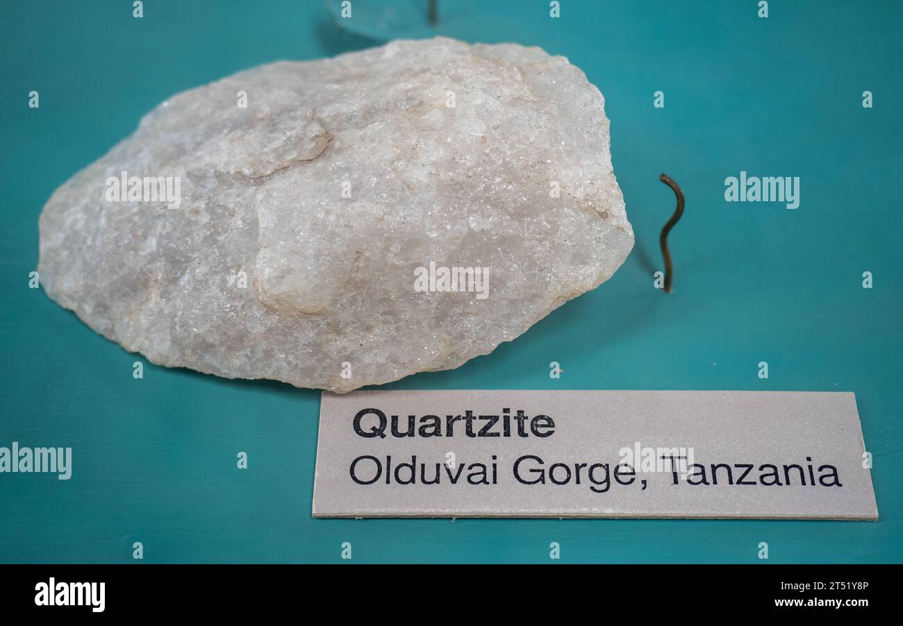 Main de quartzite d'Olduvai George (Tanzanie), à Olorgesailie, Kenya Banque D'Images